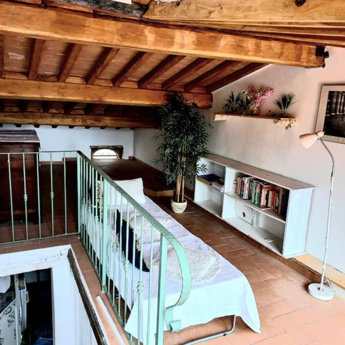 La Casa Del Gallo 라디콘돌리 외부 사진
