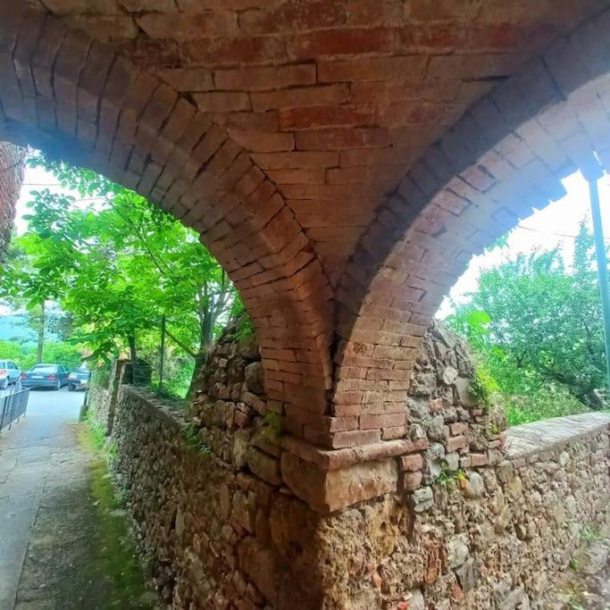 La Casa Del Gallo 라디콘돌리 외부 사진